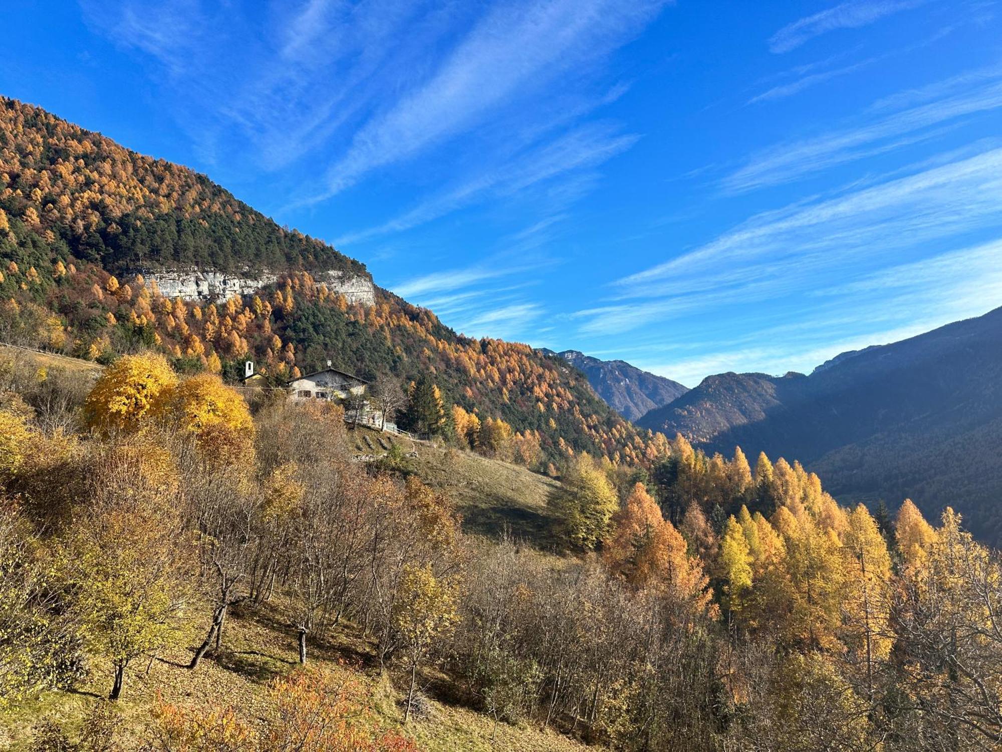 Cielo E Terra Chalet Zencheri Con Vista Panoramica Piazza (Trentino) Exterior foto