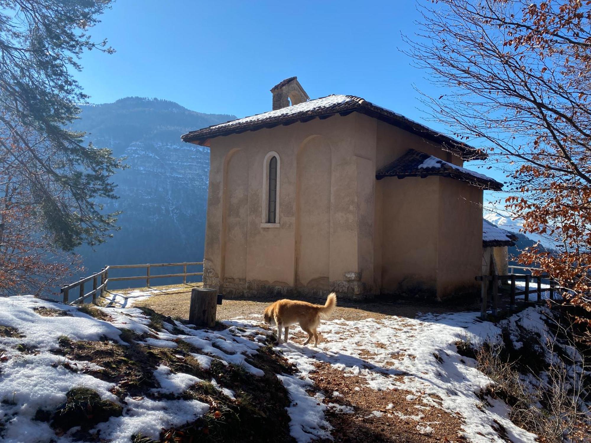 Cielo E Terra Chalet Zencheri Con Vista Panoramica Piazza (Trentino) Exterior foto